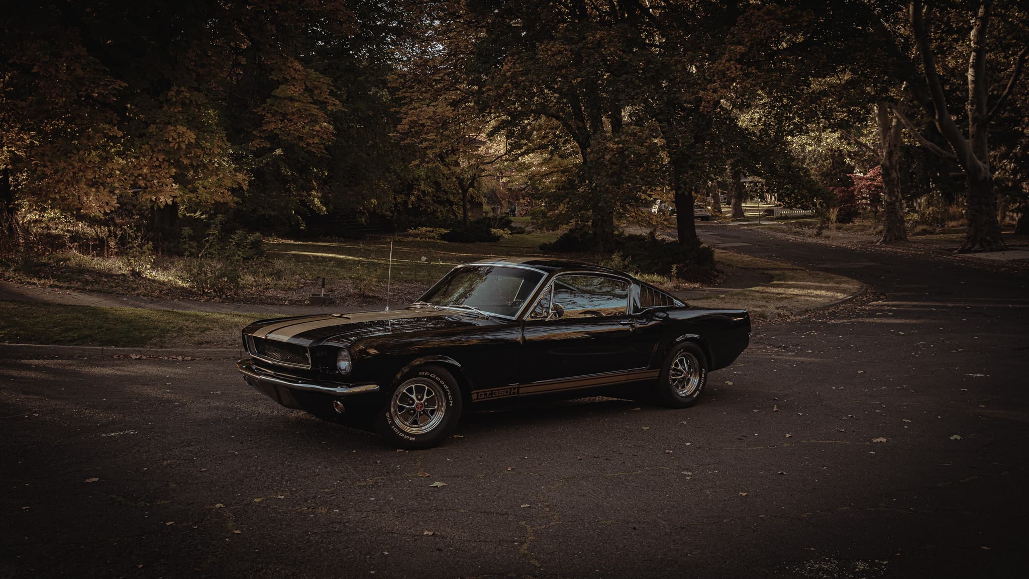 stang